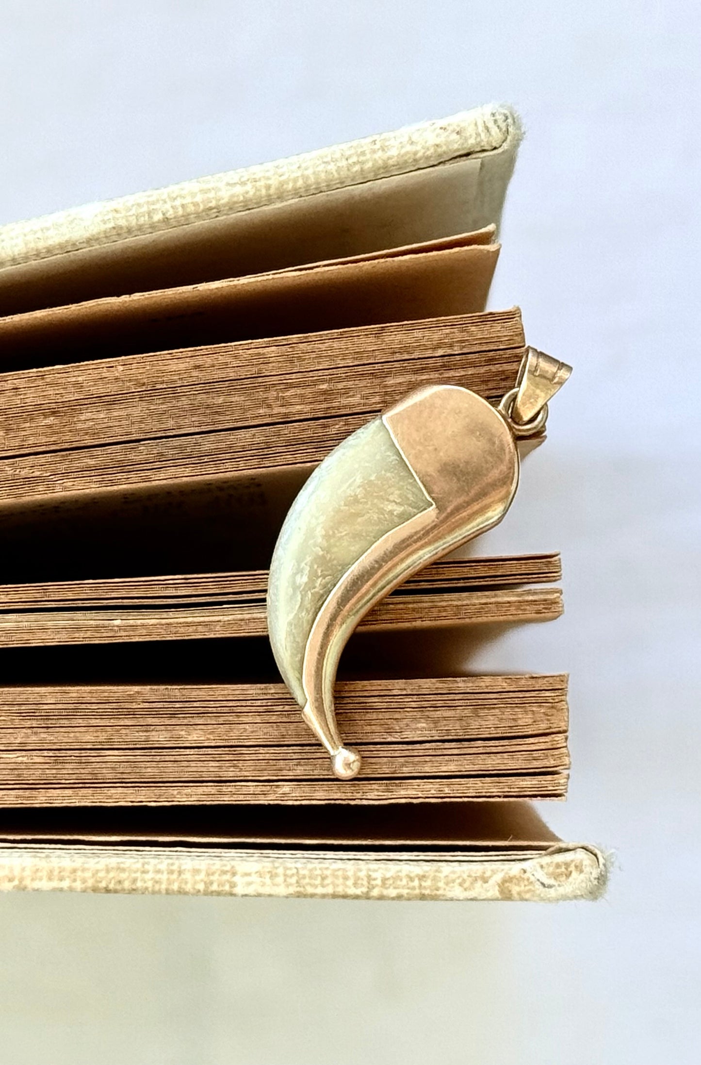 .1890s .1900s .375 .9ct gold well sized true Antique Rare Find Lion Claw Tiger claw lucky talisman heirloom collectors treasure pendant