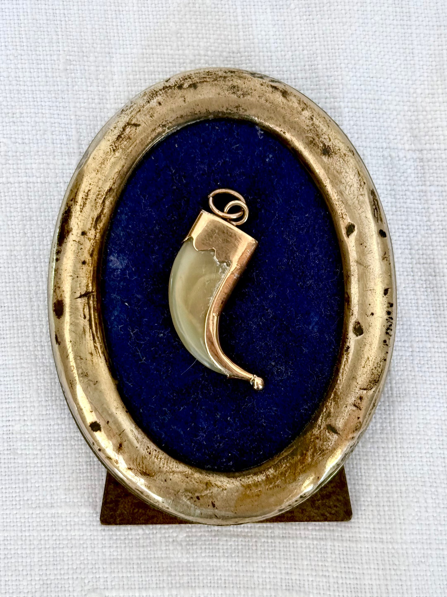 .1880s .375 .9ct gold true Victorian Antique Rare Find Lion Claw Tiger claw lucky talisman heirloom collectors treasure pendant