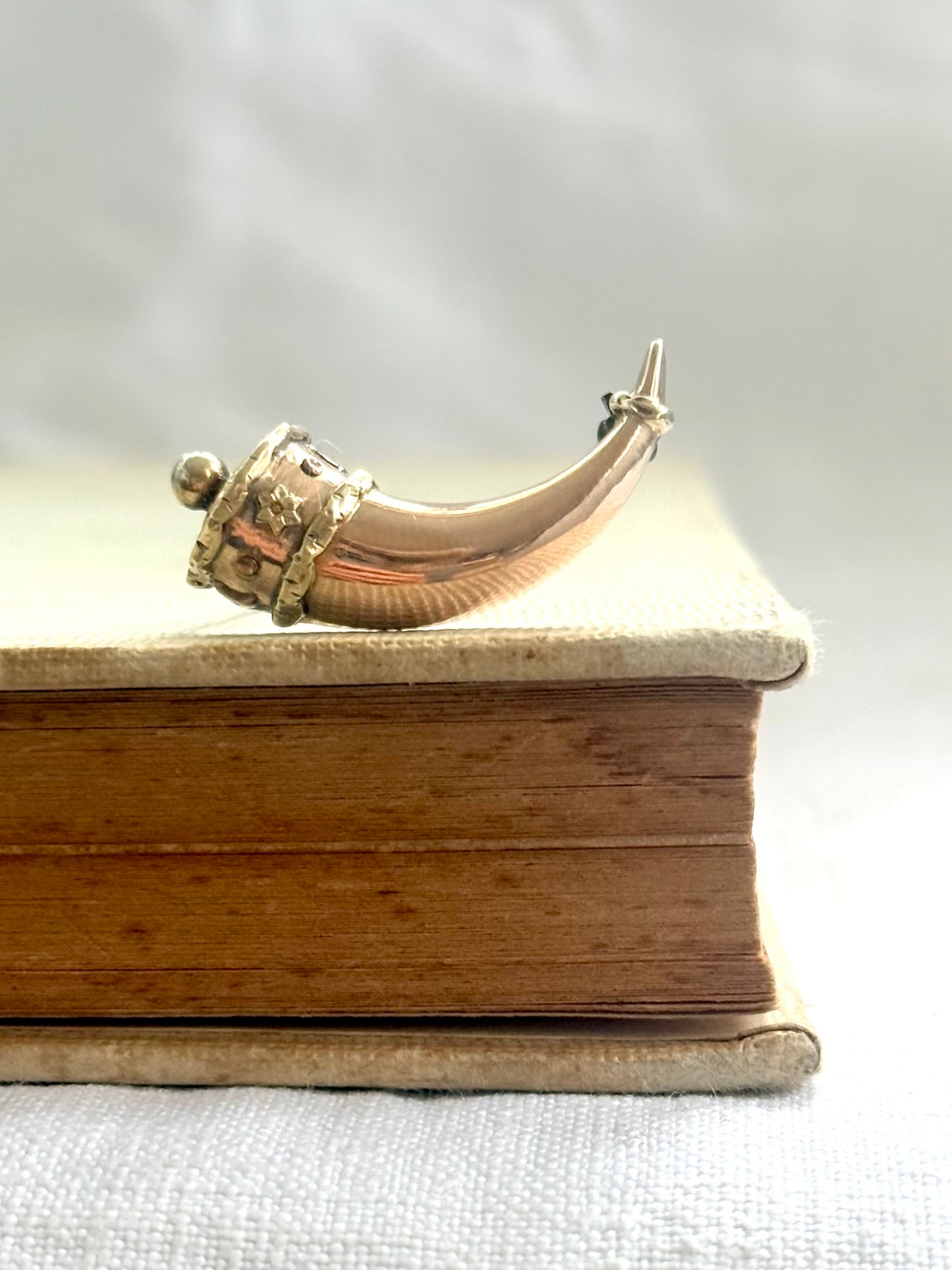 .1800s antique late Georgian Early Victorian Gold Cornucopia Horn of Plenty treasured symbolic talisman brooch