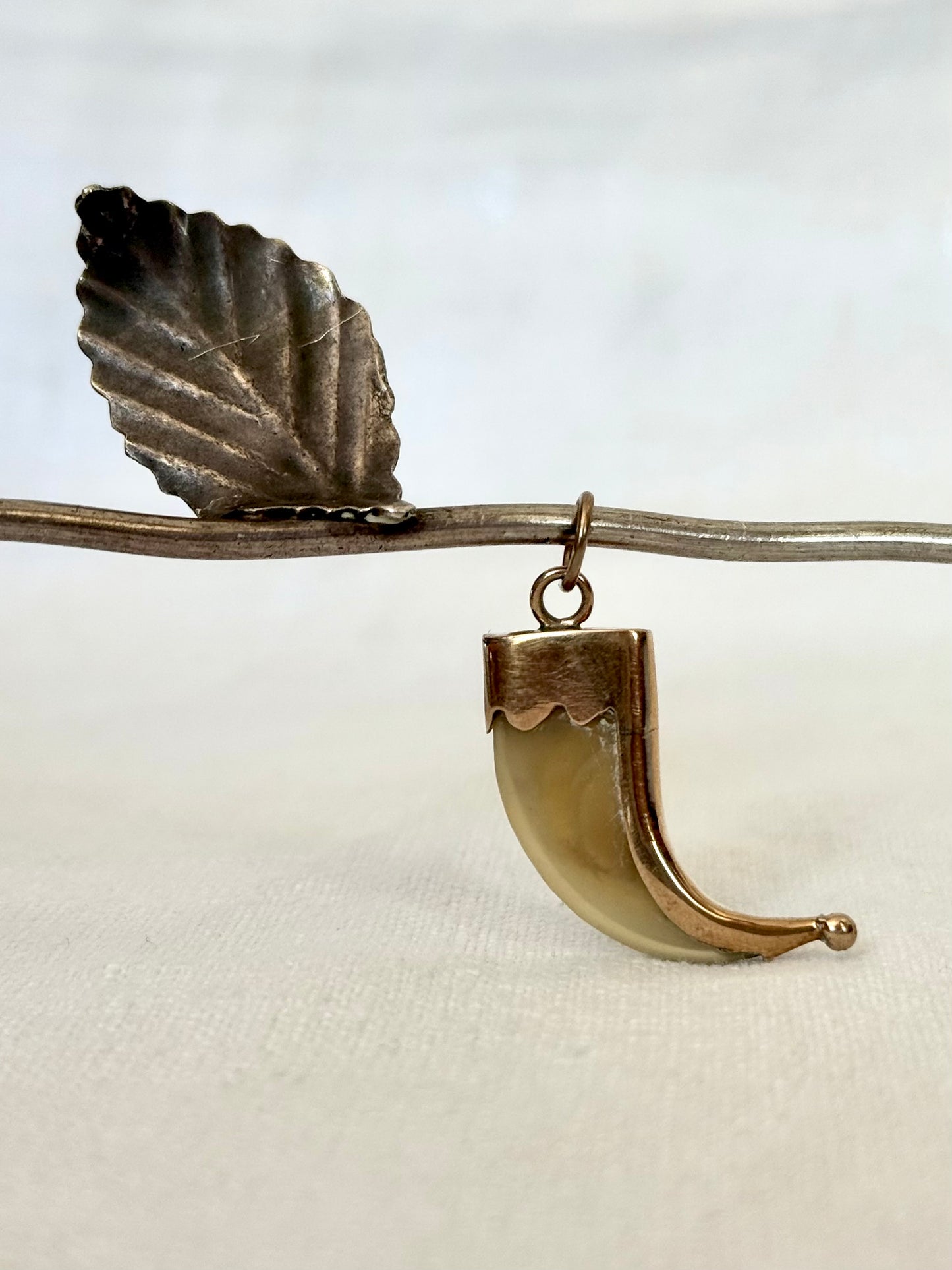 .1880s .375 .9ct gold true Victorian Antique Rare Find Lion Claw Tiger claw lucky talisman heirloom collectors treasure pendant