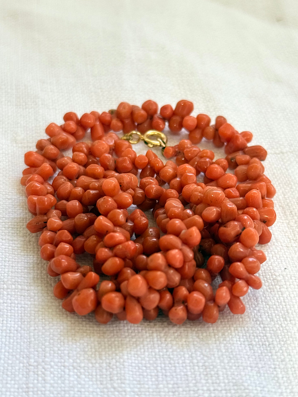 .1800s .1900s .375 .9ct gold Natural Salmon carved Coral dogbone bead Coral treasured heirloom necklace