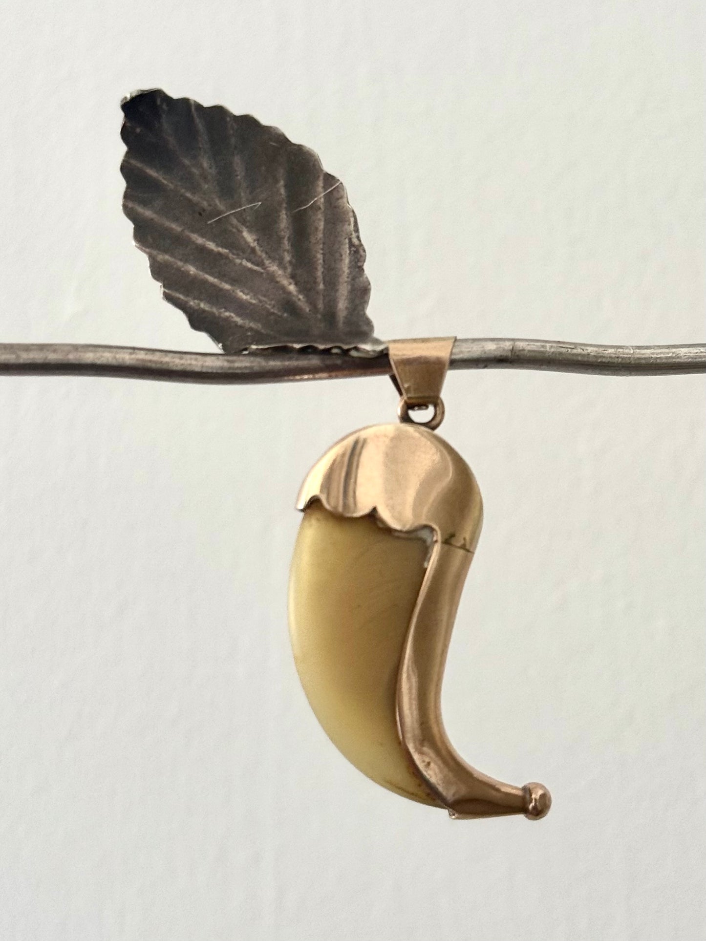 .1890s .1900s .375 .9ct gold well sized true Antique Rare Find Lion Claw Tiger claw lucky talisman heirloom collectors treasure pendant