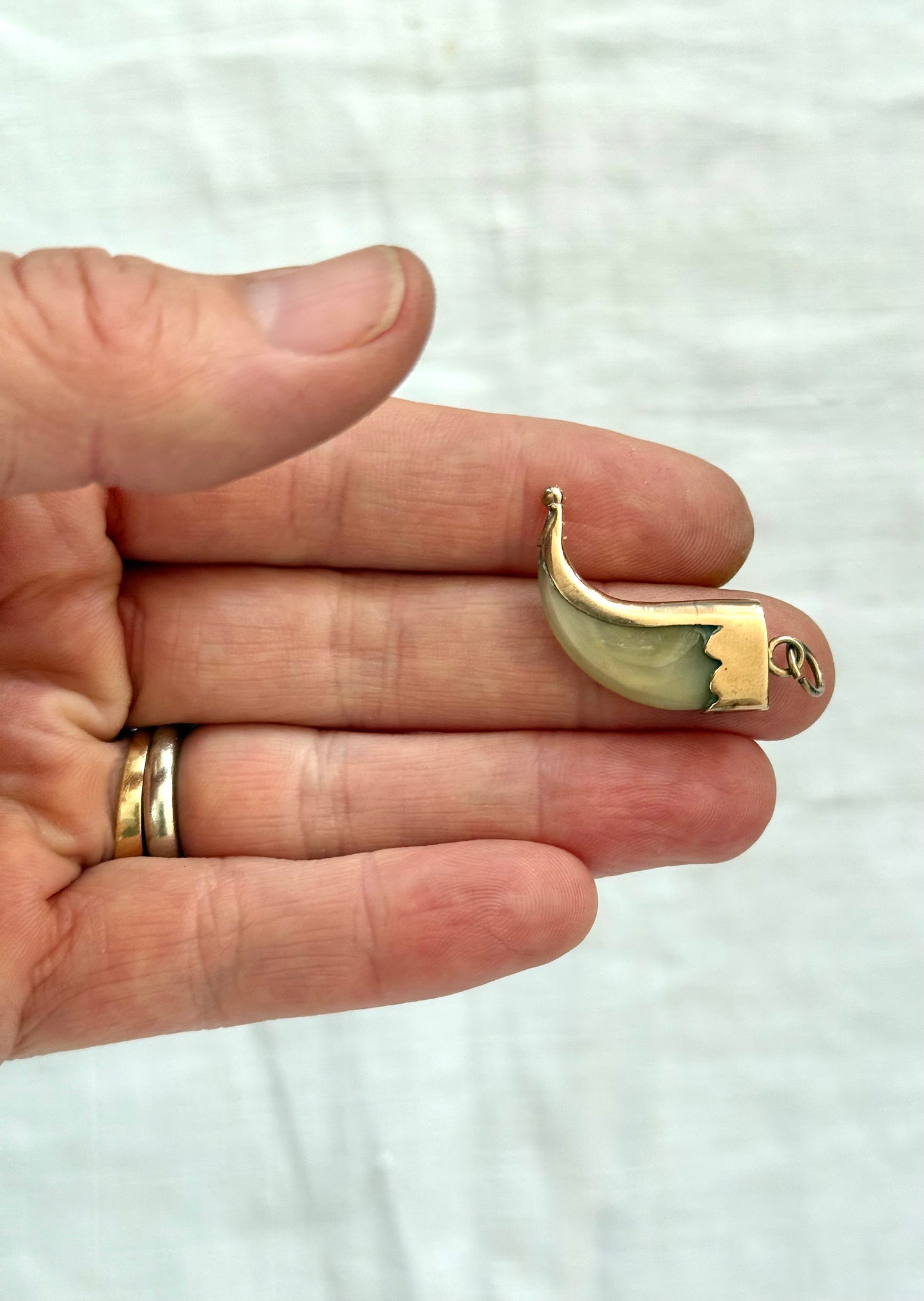 .1880s .375 .9ct gold true Victorian Antique Rare Find Lion Claw Tiger claw lucky talisman heirloom collectors treasure pendant