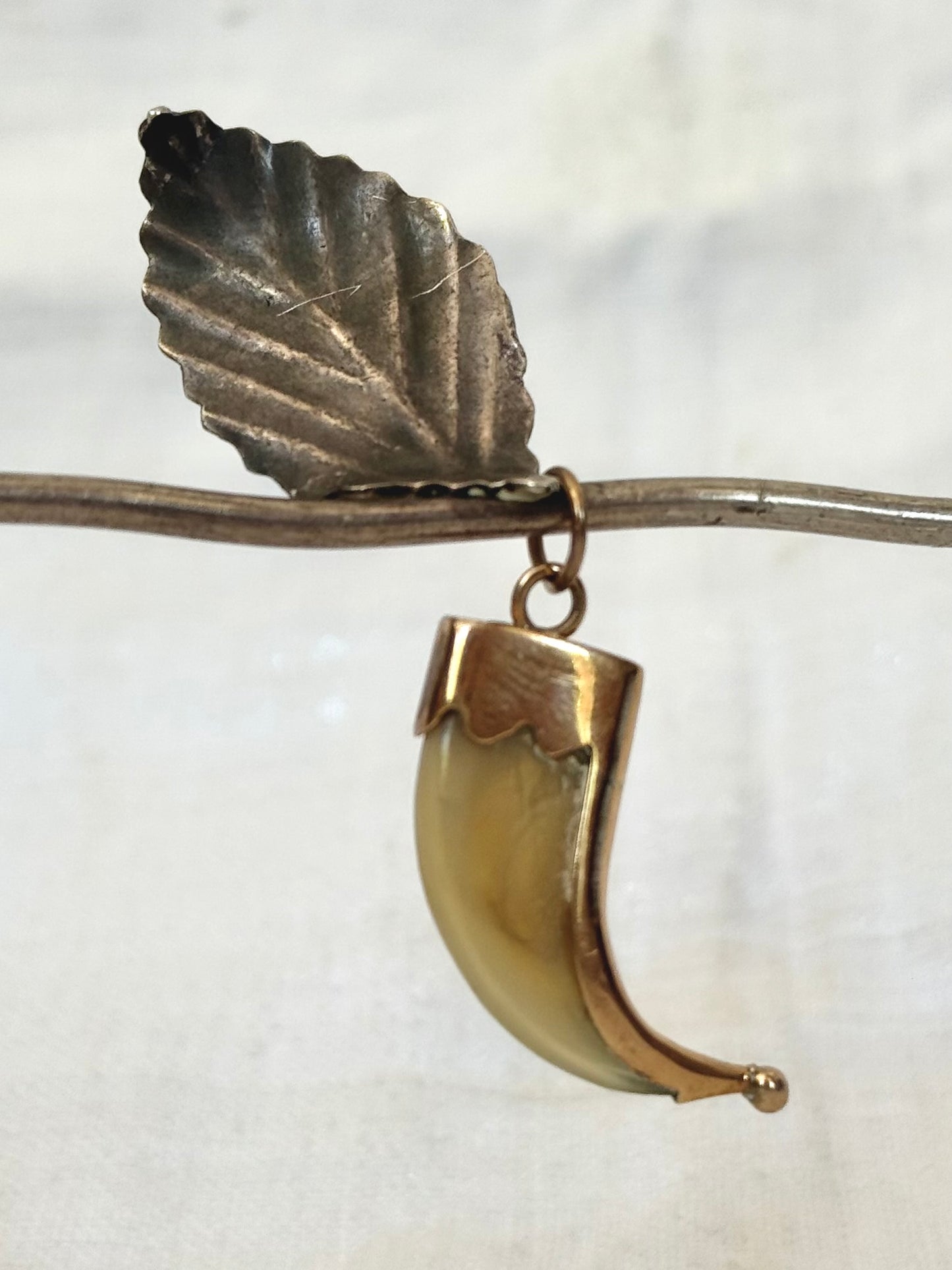 .1880s .375 .9ct gold true Victorian Antique Rare Find Lion Claw Tiger claw lucky talisman heirloom collectors treasure pendant