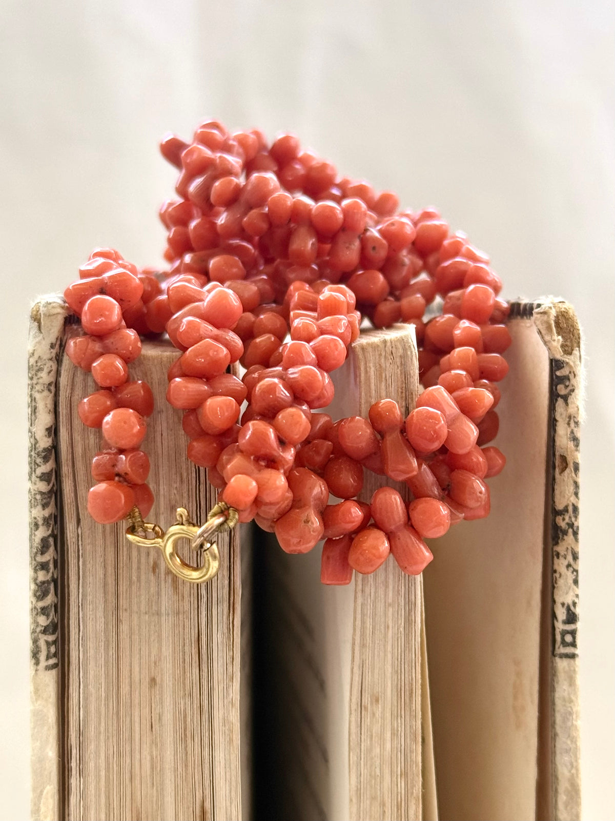 .1800s .1900s .375 .9ct gold Natural Salmon carved Coral dogbone bead Coral treasured heirloom necklace