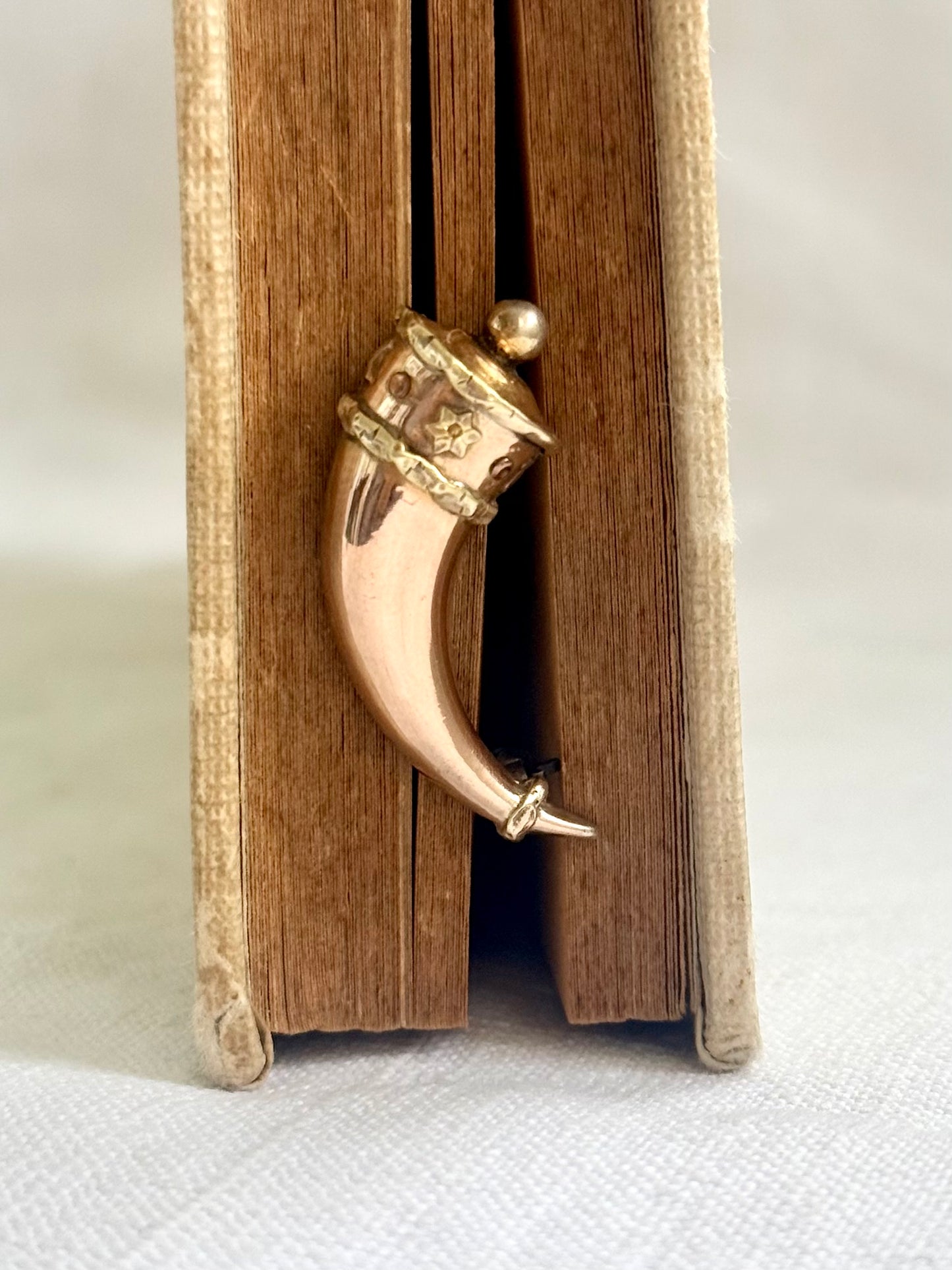 .1800s antique late Georgian Early Victorian Gold Cornucopia Horn of Plenty treasured symbolic talisman brooch