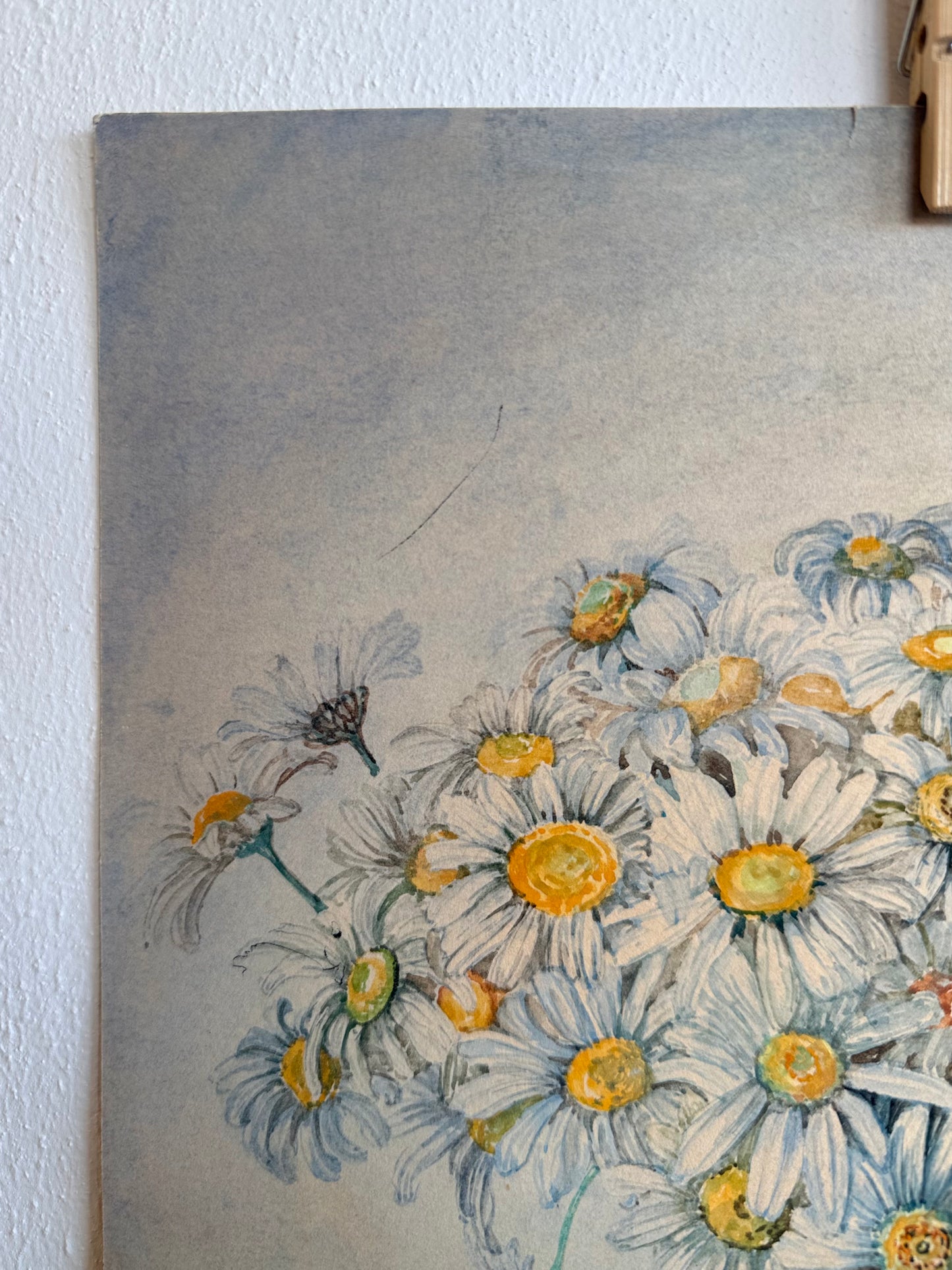 .1937 artist signed watercolour still life Daisies artwork art