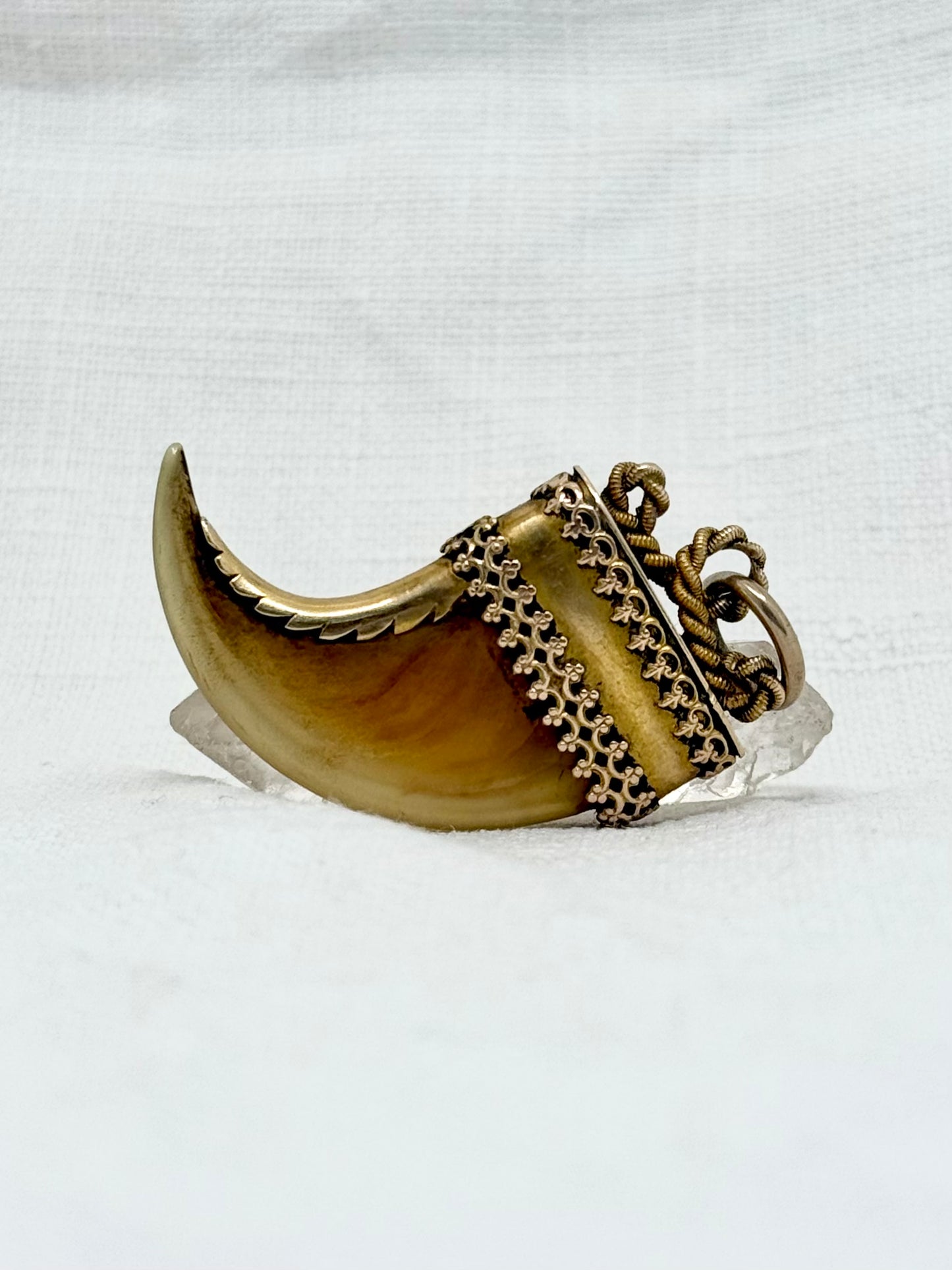 .14ct .1800s antique collectors Baroque Etruscan revival yellow gold early Victorian fine gold tiger lion claw pendant