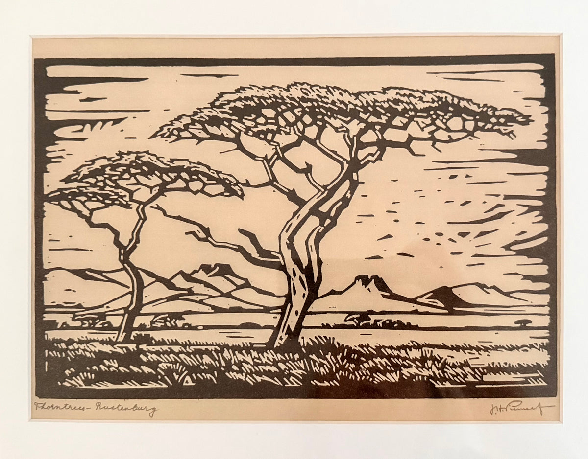 .1940s .1950s After PIERNEEF Jacob Hendrick Thorntrees Rustenburg Framed Print