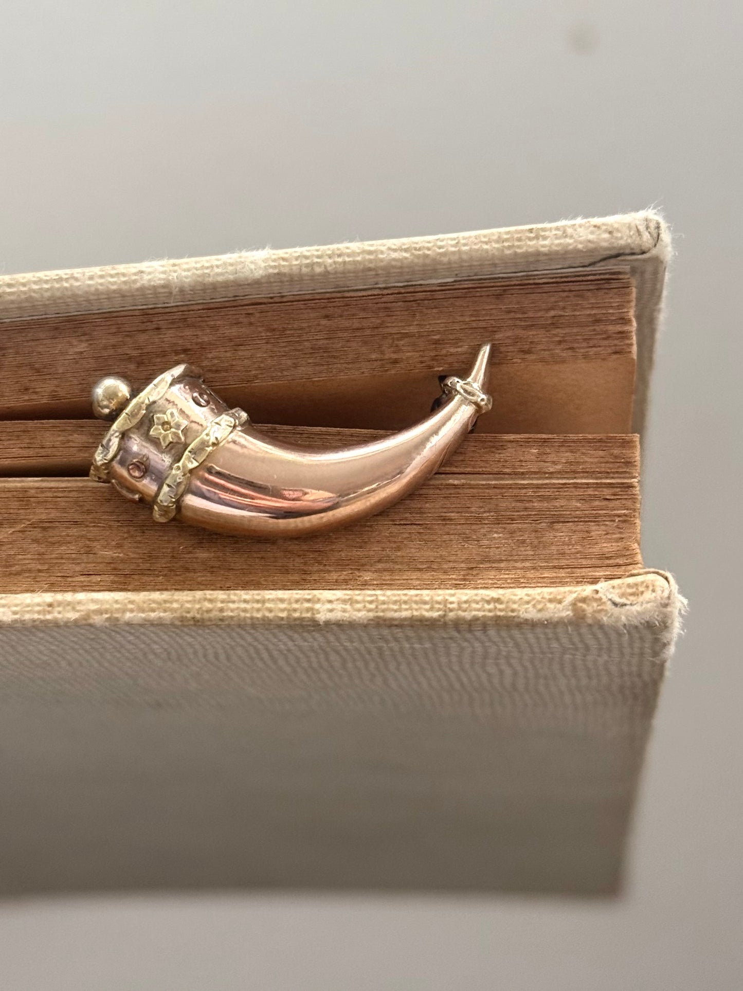 .1800s antique late Georgian Early Victorian Gold Cornucopia Horn of Plenty treasured symbolic talisman brooch