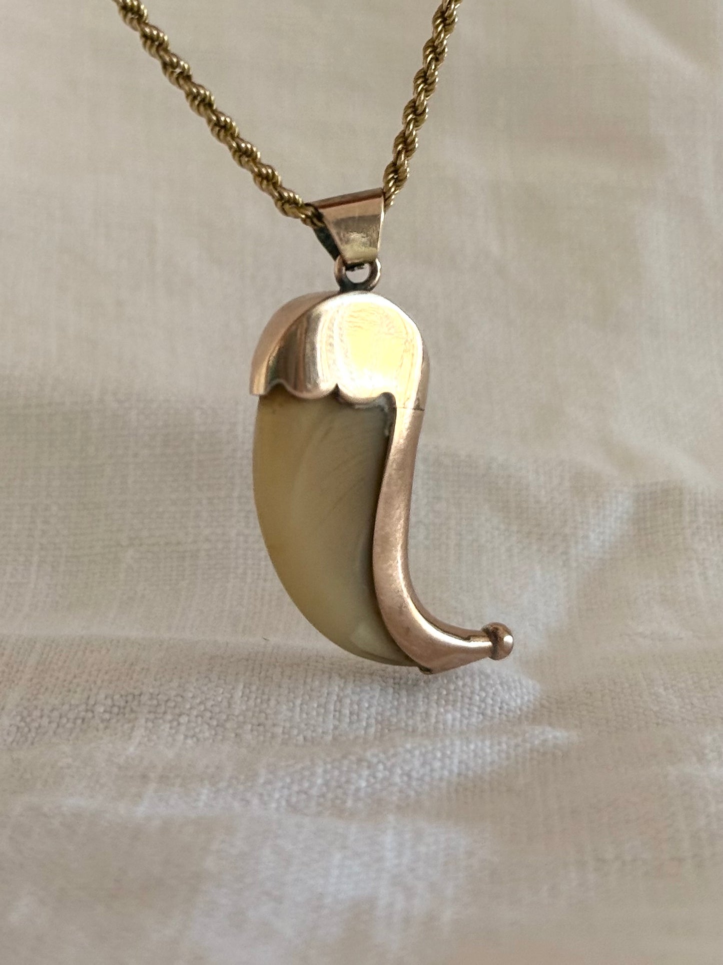 .1890s .1900s .375 .9ct gold well sized true Antique Rare Find Lion Claw Tiger claw lucky talisman heirloom collectors treasure pendant