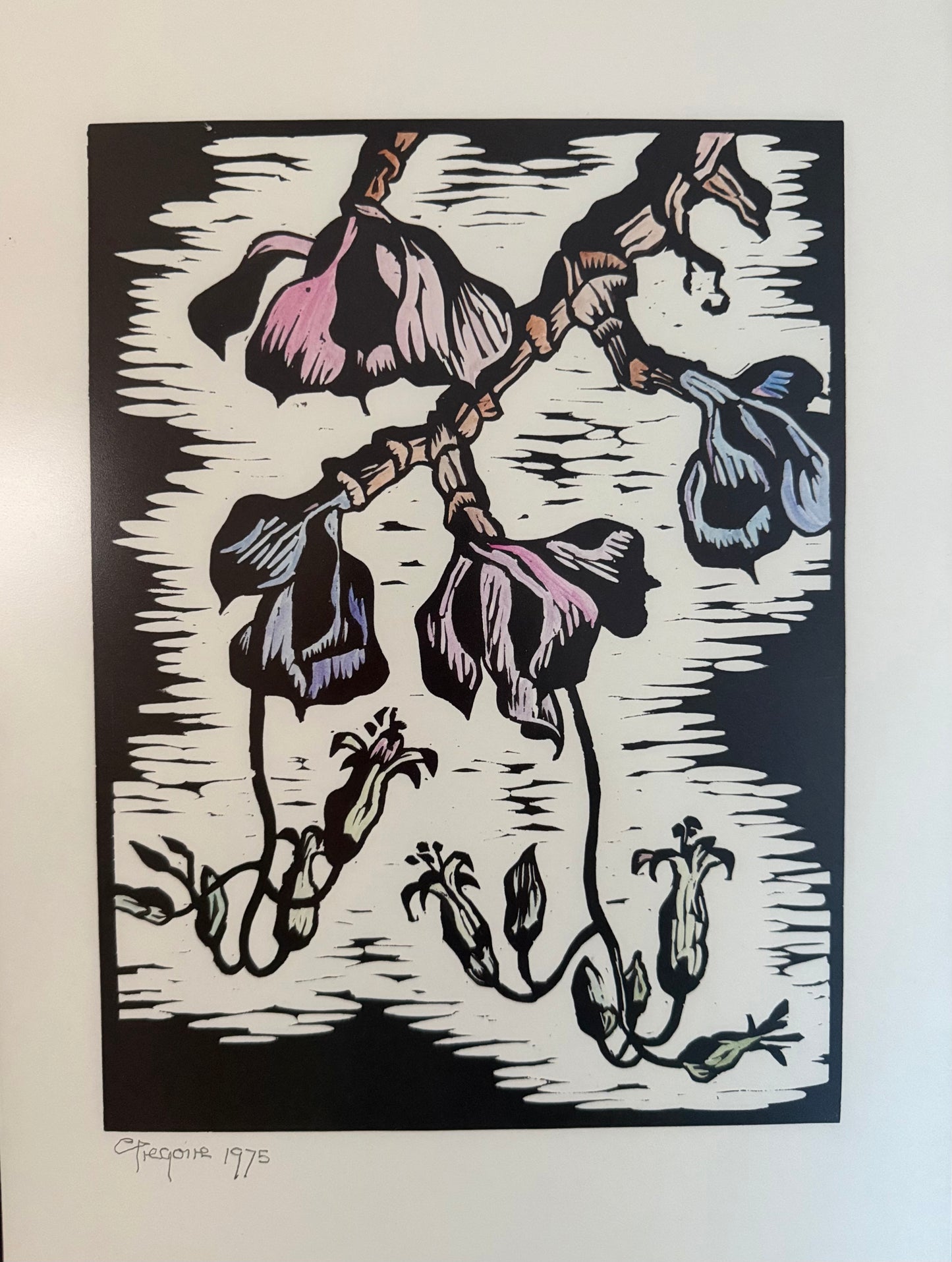 .1975 Gregoire Boonzaier Hand coloured Cotyledon Flowers Linocut