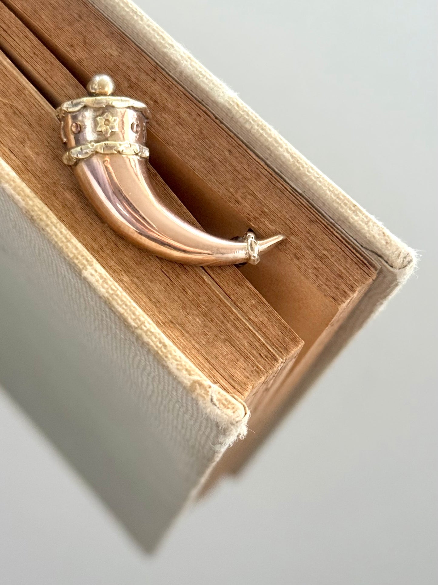 .1800s antique late Georgian Early Victorian Gold Cornucopia Horn of Plenty treasured symbolic talisman brooch