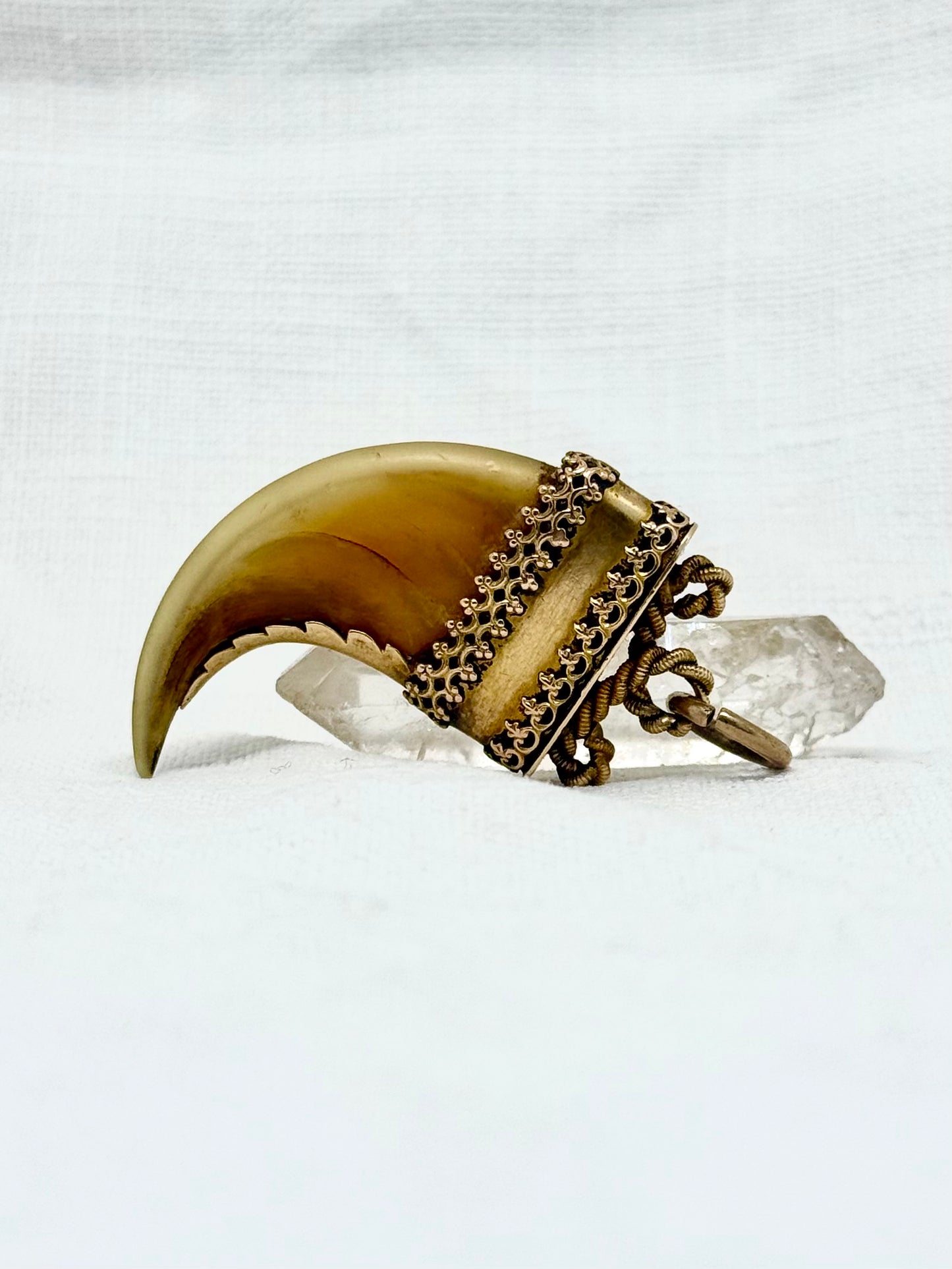 .14ct .1800s antique collectors Baroque Etruscan revival yellow gold early Victorian fine gold tiger lion claw pendant