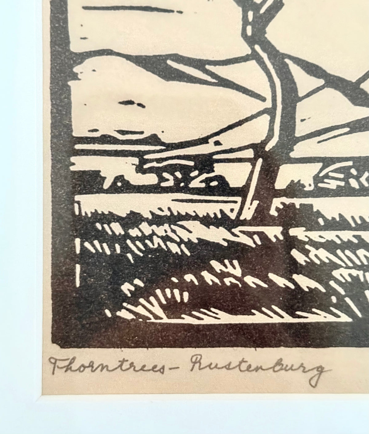 .1940s .1950s After PIERNEEF Jacob Hendrick Thorntrees Rustenburg Framed Print