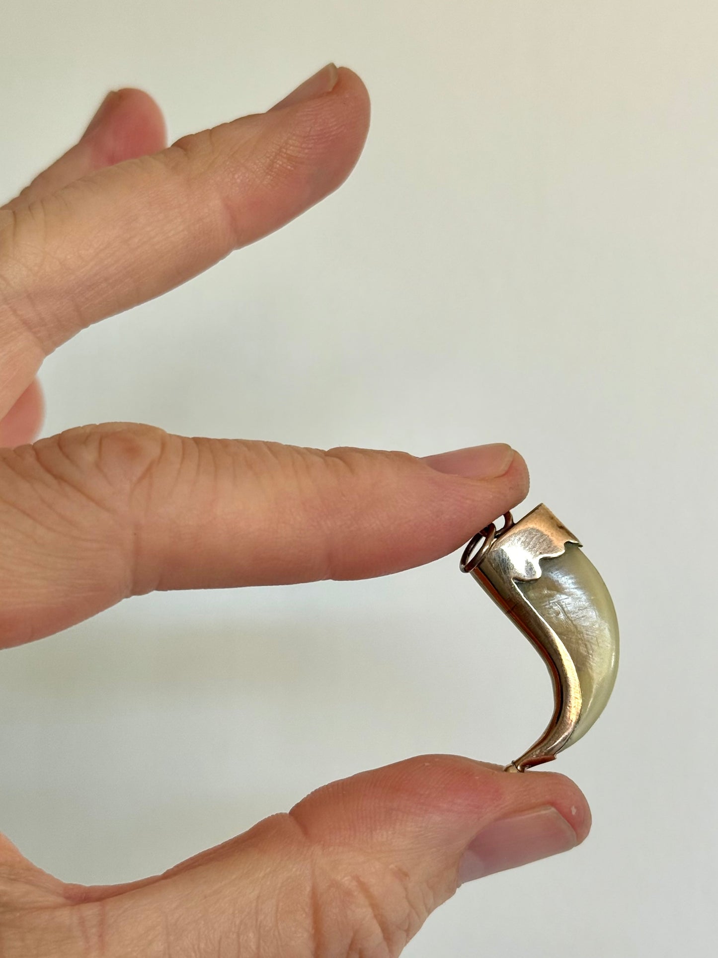 .1880s .375 .9ct gold true Victorian Antique Rare Find Lion Claw Tiger claw lucky talisman heirloom collectors treasure pendant