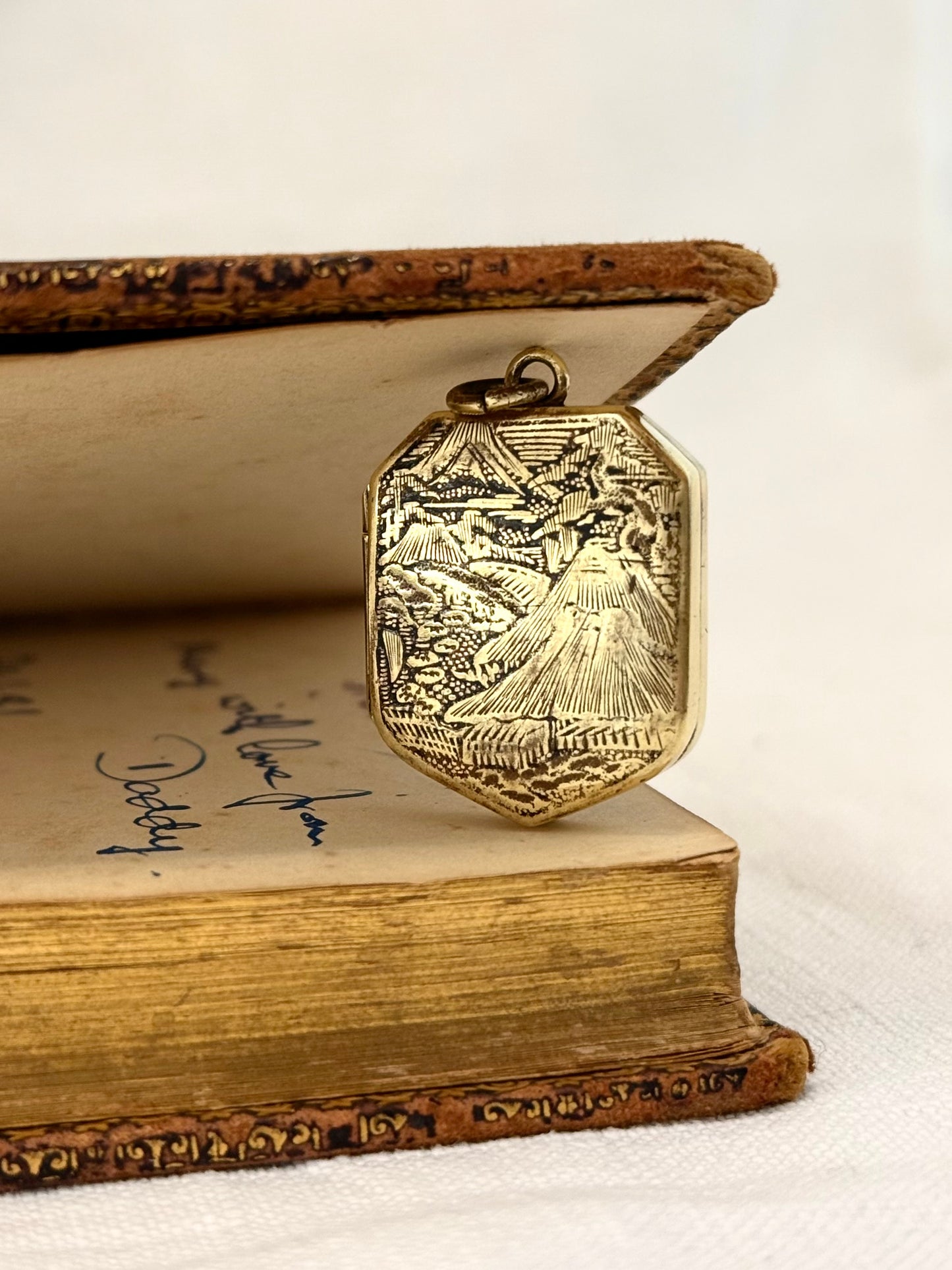 .1880s .1890s Antique rare and desirable Japanese Bronze Gold enamel Shakudo inlay artisan pendant locket