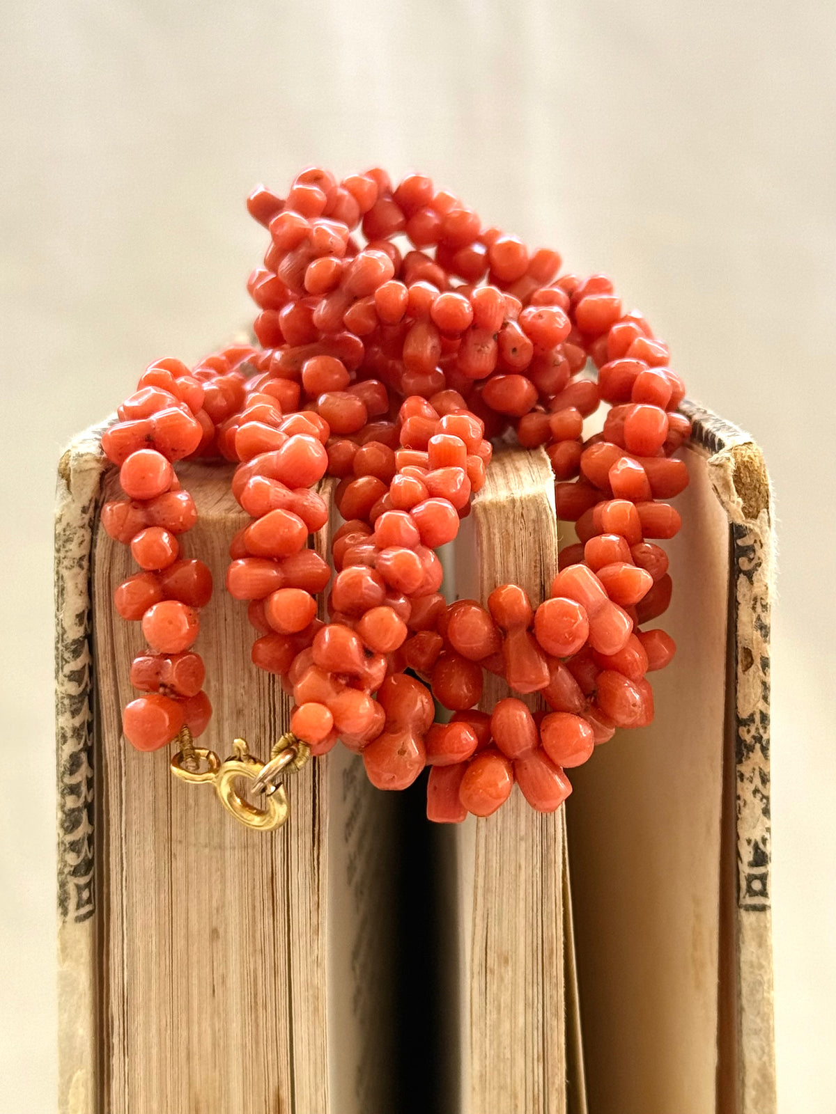 .1800s .1900s .375 .9ct gold Natural Salmon carved Coral dogbone bead Coral treasured heirloom necklace