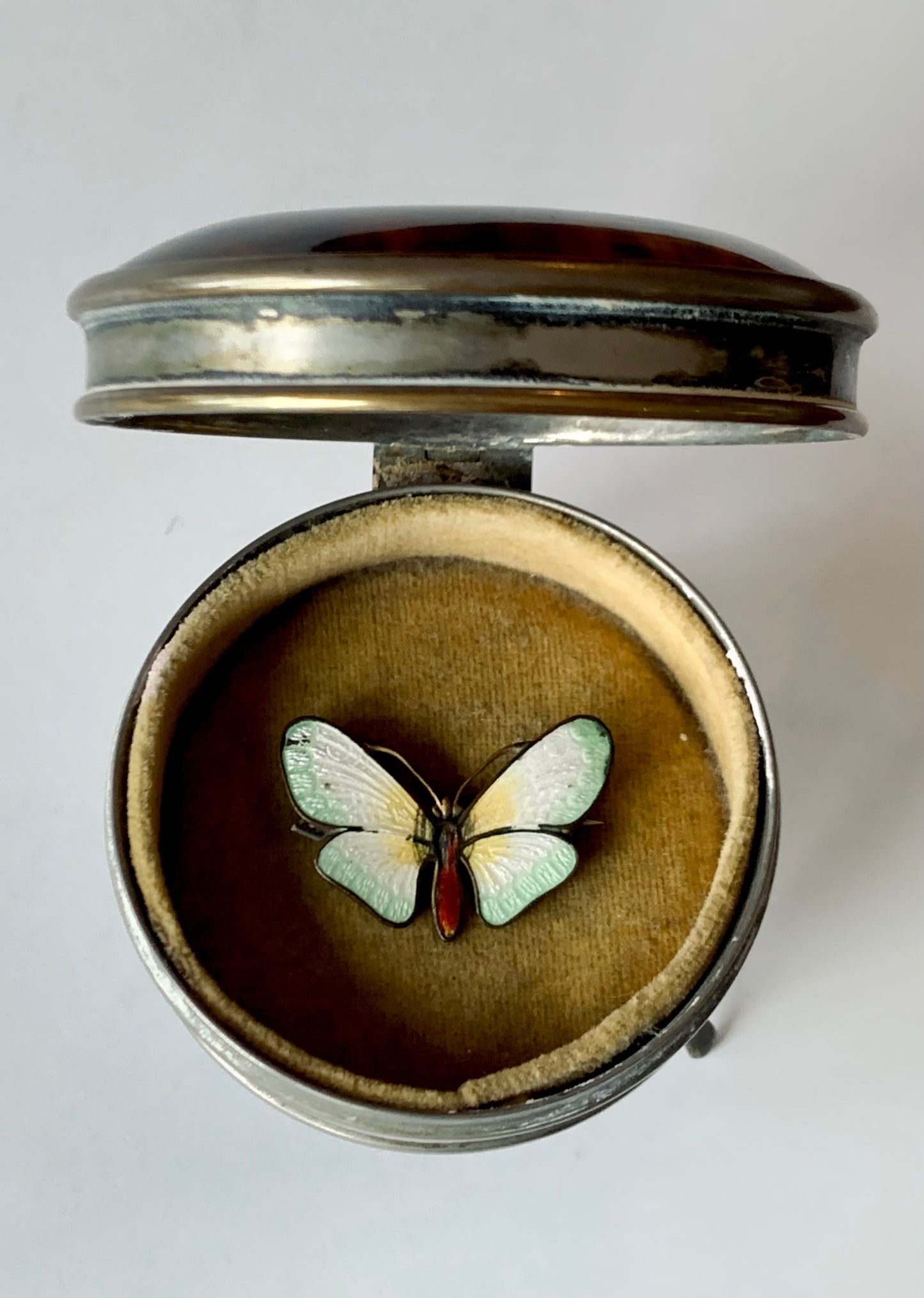 Butterfly enamel early 1920s sweet butterfly dress brooch