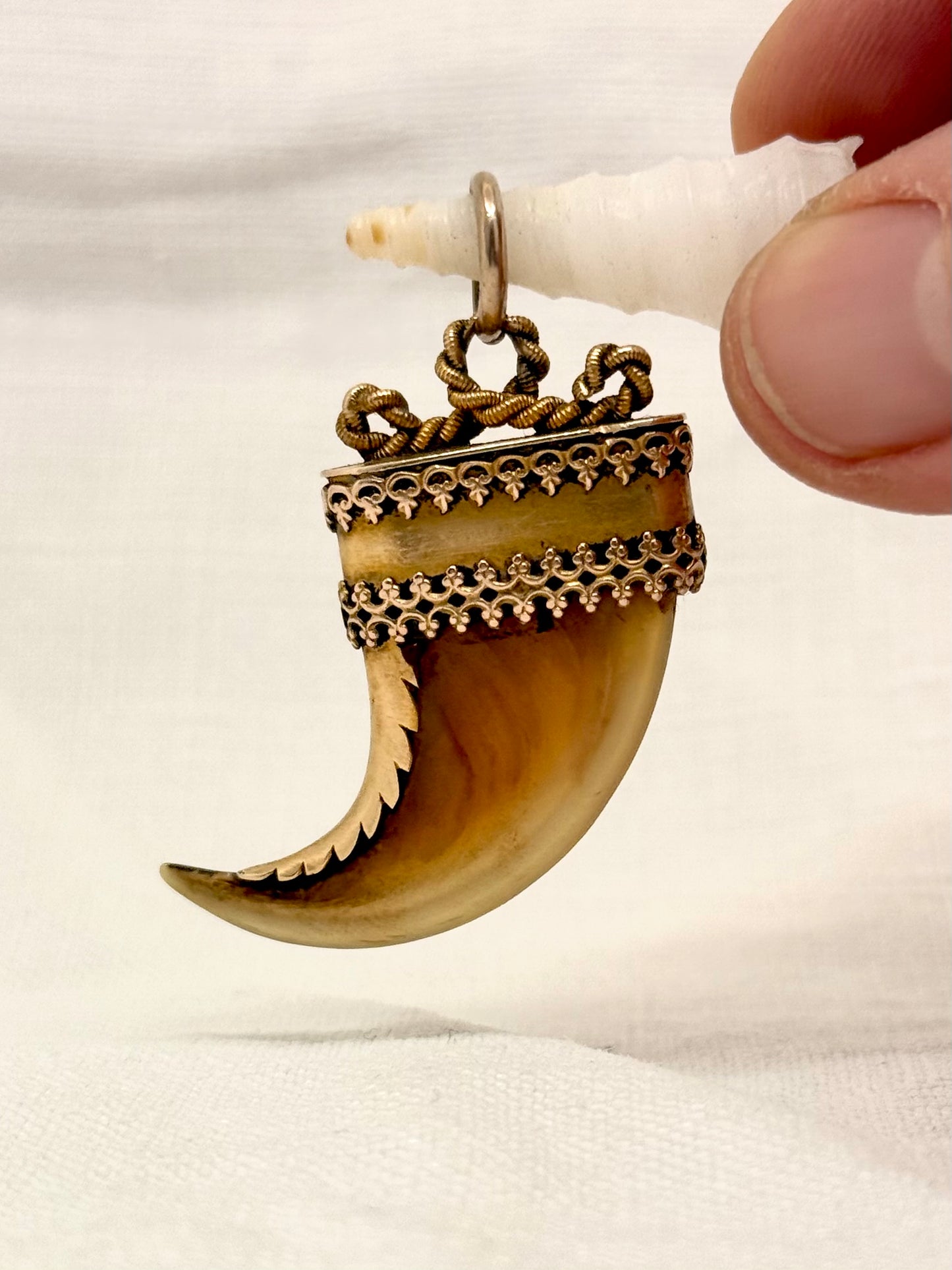 .14ct .1800s antique collectors Baroque Etruscan revival yellow gold early Victorian fine gold tiger lion claw pendant