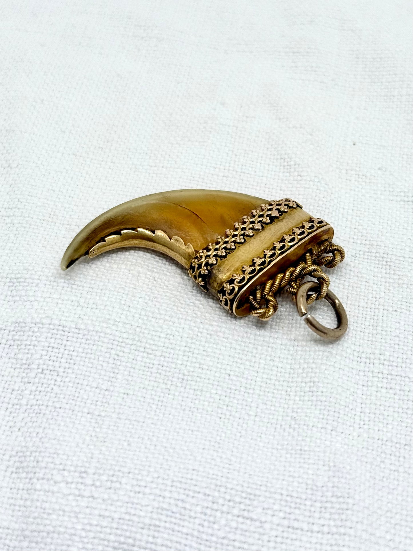 .14ct .1800s antique collectors Baroque Etruscan revival yellow gold early Victorian fine gold tiger lion claw pendant