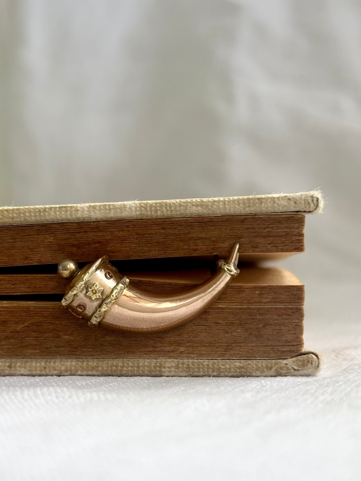 .1800s antique late Georgian Early Victorian Gold Cornucopia Horn of Plenty treasured symbolic talisman brooch