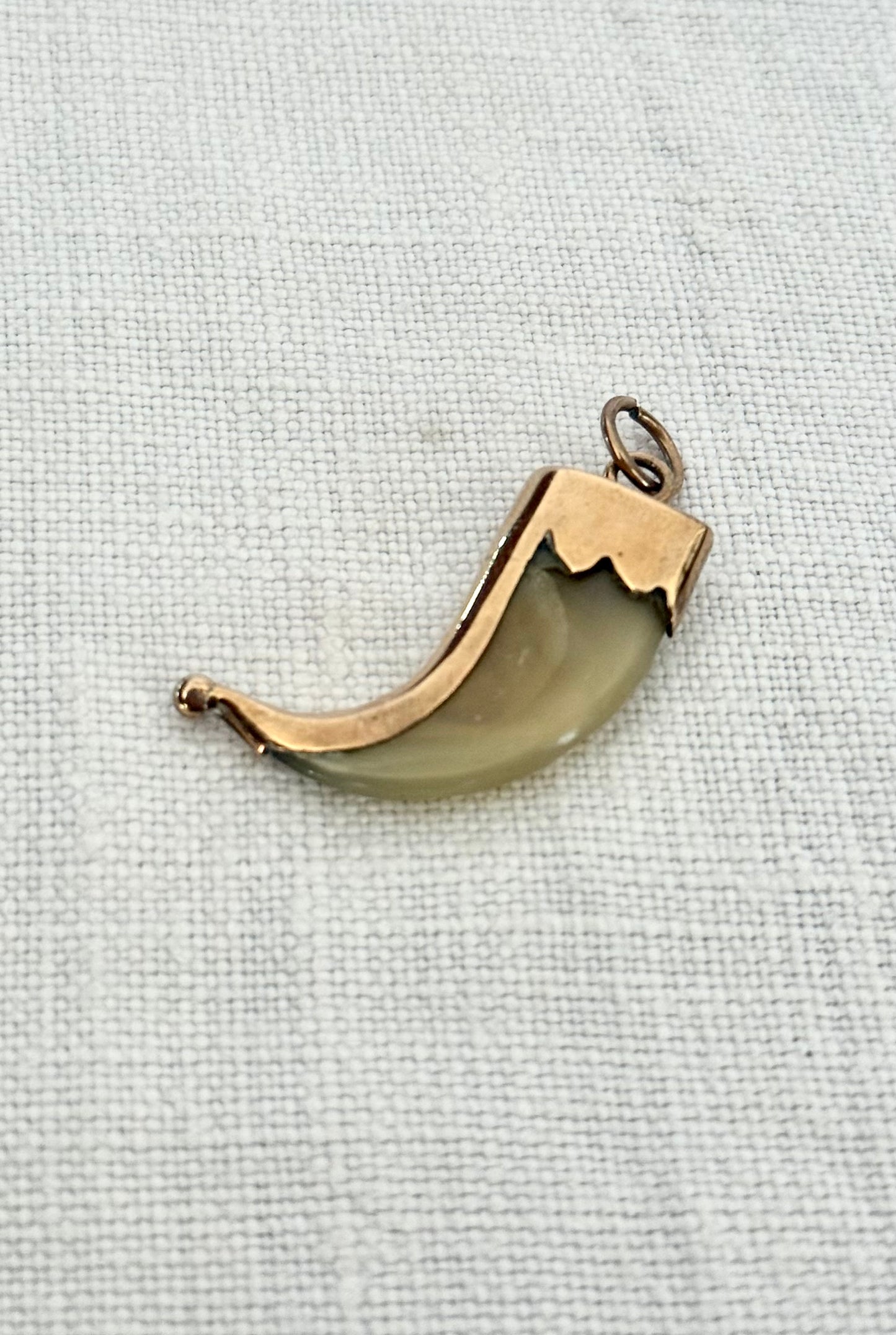.1880s .375 .9ct gold true Victorian Antique Rare Find Lion Claw Tiger claw lucky talisman heirloom collectors treasure pendant