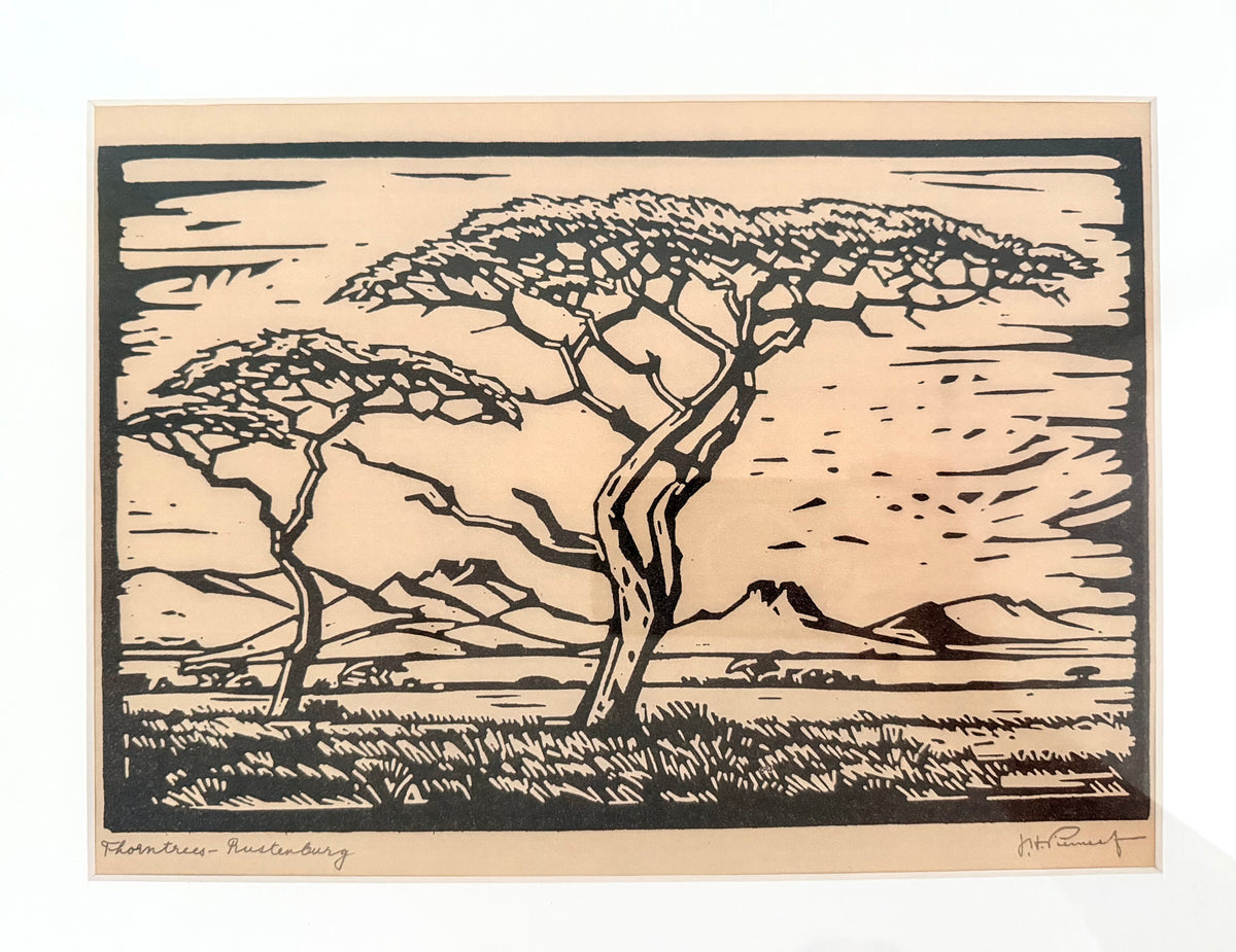 .1940s .1950s After PIERNEEF Jacob Hendrick Thorntrees Rustenburg Framed Print