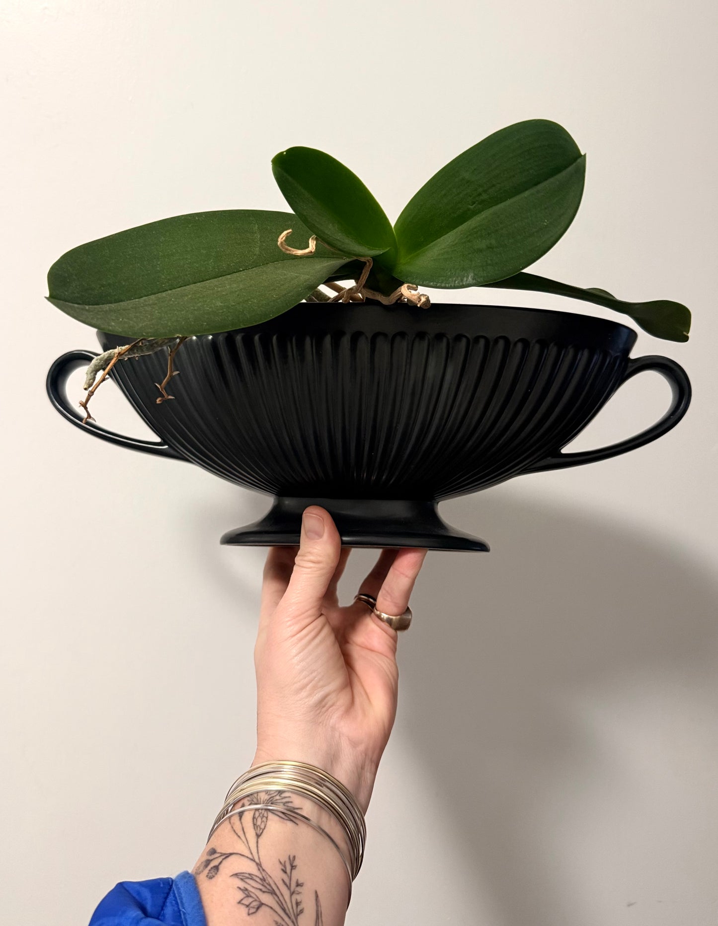 .1940s .1960s Wedgwood collectors Black Etruria of Barlaston large Neoclassic Grecian revival Fluted mantle vase planter
