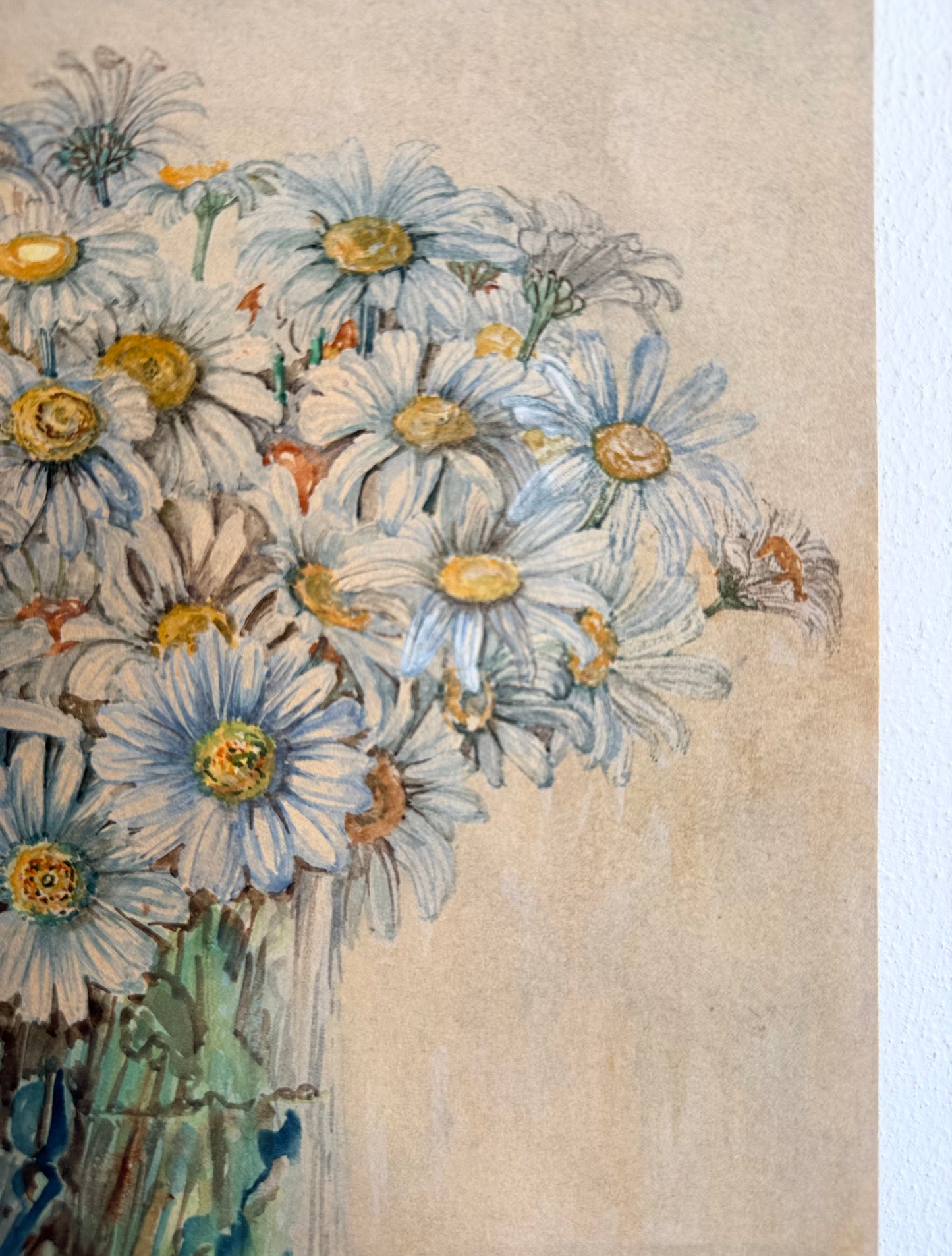.1937 artist signed watercolour still life Daisies artwork art