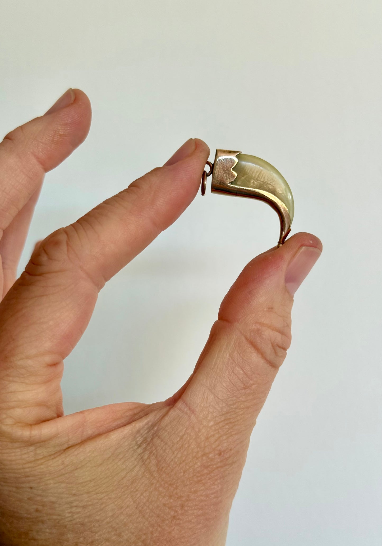 .1880s .375 .9ct gold true Victorian Antique Rare Find Lion Claw Tiger claw lucky talisman heirloom collectors treasure pendant