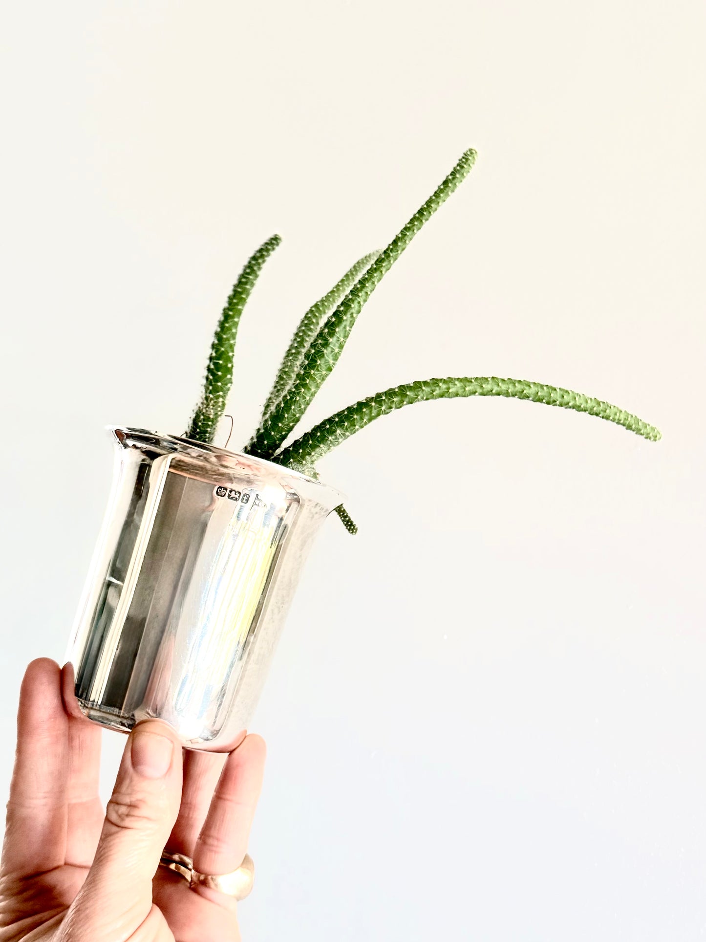 .1800s .1898 antique Victorian solid silver Walker & Hall large 300ml beaker vessel vase