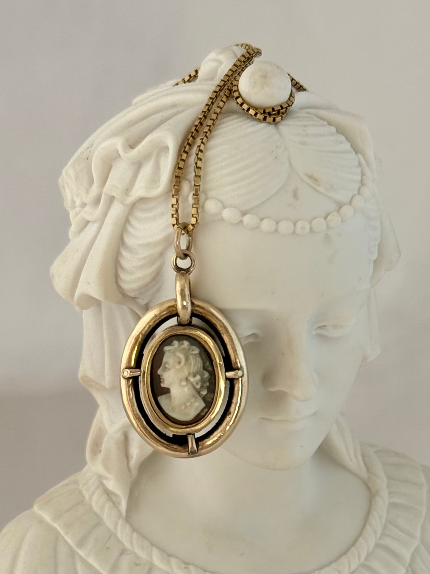 .1800s 1850s .375 .9ct antique Victorian gold and enamel French Jet and Shell carved Cameo pendant